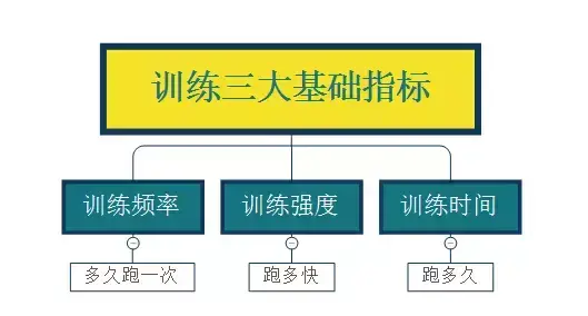 你可以跑得更快吗？每周至少3次！