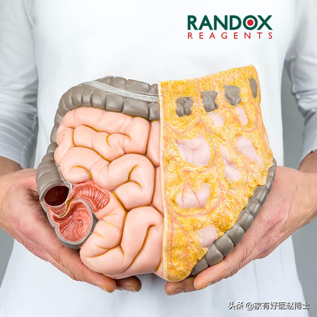 运动氧气_有氧运动需要几次_运动氧次需要有氧气吗